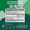 FGO Organic Peppermint Tea, 100 Count, Eco-Conscious Tea Bags, Caffeine