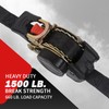 MOTO4U Auto Retractable Ratchet Straps 2-Pack | 1” x 10ft
