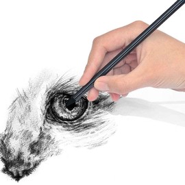 Charcoal Brushes Soft Charcoal Art Supplies Pencils 10 Pack Charcoal for Drawing Colored Pencils 7.2mm Round Log Smooth Unbreakable Black People Animals Landscape Sketching Drawing Quick Shoot Paint Art Painting School Outdoor Beginners Students Adults