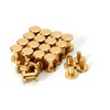 Zhooooonglf Brass Chicago Screws 8×4×6mm 20Pack Rivets Bookbinding Stud Screws