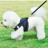 Love Dream Puppy Harness and Leash Set, Escape Proof Dog