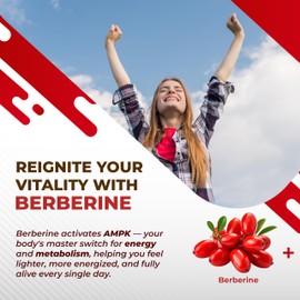 Berberine 14-in-1 Supplement with Ceylon Cinnamon Apple Cider Vinegar Turmeric Bitter Melon Holy Basil Milk Thistle Fenugreek Gymnema Banaba - Made in The USA