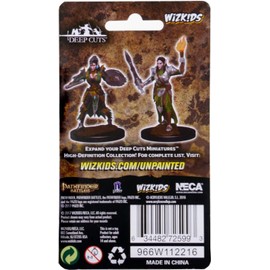 Pathfinder Deep Cuts Unpainted Miniatures: Wave 1: Elf Female Fighter – Unpainted/Primed Pathfinder Miniature by WizKids - Tabletop RPG Games TTRPG