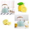 Yanhao Kettle, Whistling Kettle, 0.8 gal (2.5 L), Wide Mouth