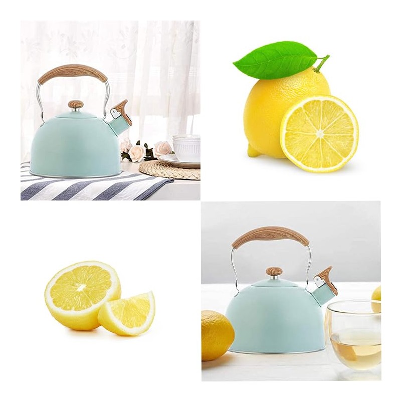 Yanhao Kettle, Whistling Kettle, 0.8 gal (2.5 L), Wide Mouth