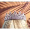 Just Divorced Tiara and Sash Divorced Party Tiara Women Party