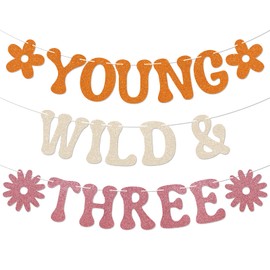 Young Wild & Three Banner - Three Groovy Birthday Decor, Girl 3rd Bday Banner, Boho Retro Groovy Birthday Party Decoration