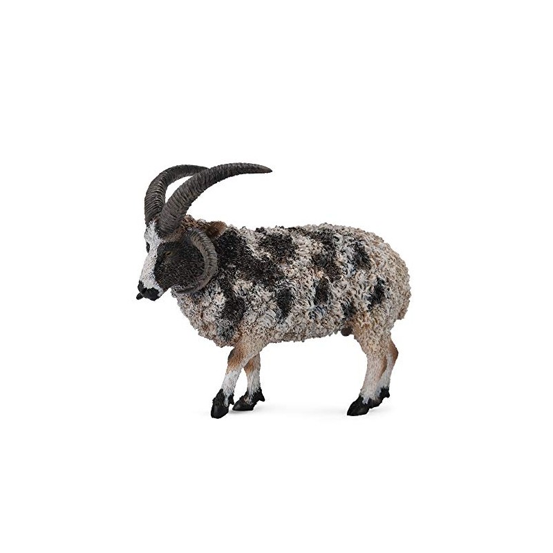 CollectA Jacob Sheep