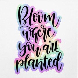 Holographic Decal Stickers of Bloom Where You are Planted Premium Waterproof Vinyl Decal Stickers for Laptop Phone Accessory Helmet Car Window Mug Tuber Cup Door Wall Decoration ANDVER3c1126bHO