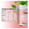 Creatina Monohidratada Flamish 3kg 600 Servicios Sabores