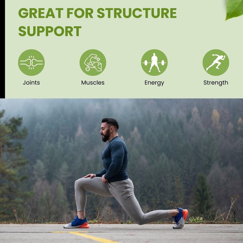 Halal Collagen Peptides Protein Powder By SHIFAA NUTRITION