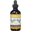 Whole World Botanicals Royal Desmodium Allergy Lung Support -- 4