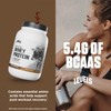 Levels Grass Fed Whey Protein Powder, No Artificials, 24G of