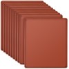 TAICHEUT 10 PCS Silicone Dehydrator Trays, 12 x 10 Inches
