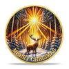 Sunlit Snow Deer Sobriety Coin | Stay Strong Sober AA