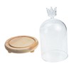 iplusmile Preserved Flower Glass Dome with Wooden Base Flat Bottom