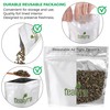 Tealyra - Taiwanese Jin Xuan Milk Oolong - High Mountain