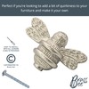 Brass bee 2 x Solid Drawer Knob Handles | Drawer