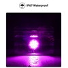 XtraGlow Dual Revolution 2.5" Round 13LEDs Amber Clearance Side Marker