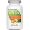 Ginger Extract 500 - More than 160 Nutrients in a