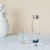 balvi Scuba Water Bottle 0.5 Litre with Anti-drip Stainless Steel