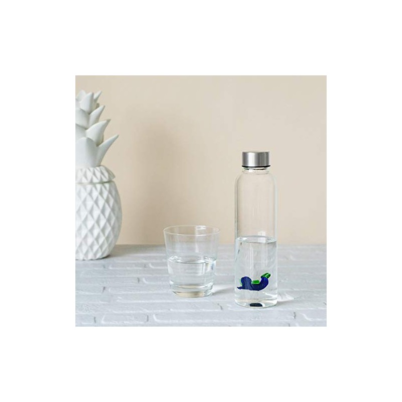balvi Scuba Water Bottle 0.5 Litre with Anti-drip Stainless Steel