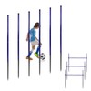 Qufiona Agility Poles, 6 Pack 4.9FT Metal Soccer Training Poles
