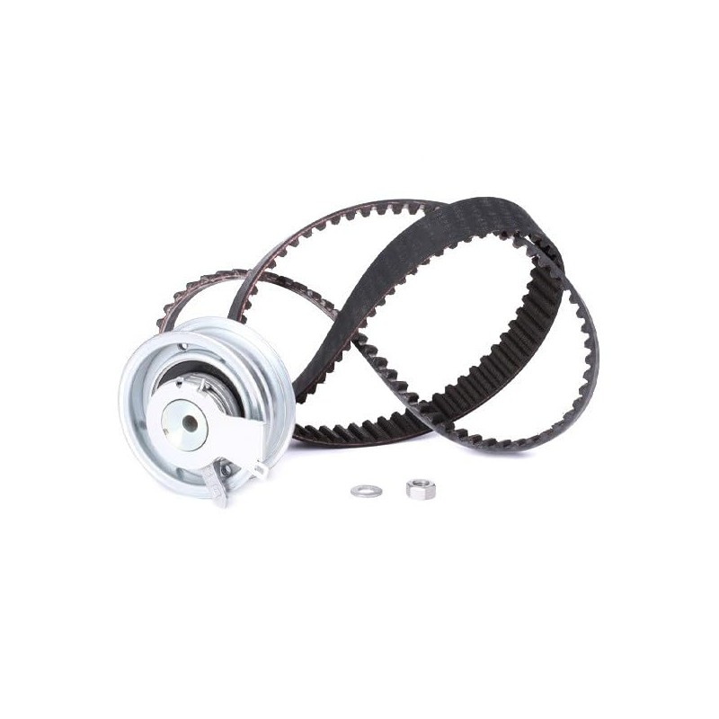 INA 530 0171 10 Timing Belt Set