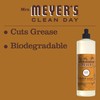 MRS. MEYER'S CLEAN DAY Dish Soap Acorn Spice, 16 Fl