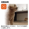 Richell Security Camera LOOK