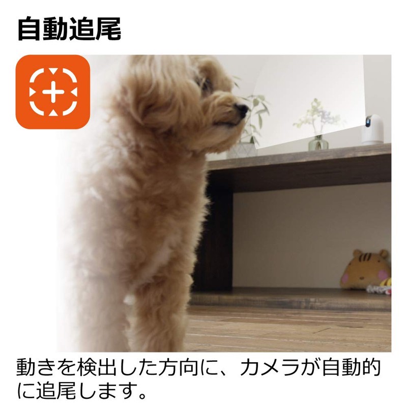 Richell Security Camera LOOK