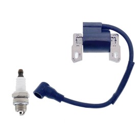 IGCLINIC Ignition Coil and Spark plug Compatible with 799381 790817 695711 802574 590454 796964,Compatible with Engine Models:129H00 Series(0005-0185) Engine 21HP Craftsman YT3000