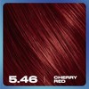 Clairol Nice N Easy Permanent Bold Zero Ammonia Hair Dye
