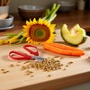 Red Melon Seed Cracker Plier,Sunflower Seeds Plier Opener - Seed