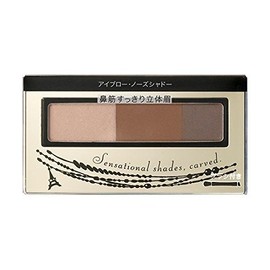 Shiseido integure-to Tool & no-zusyado- br631 2.5 G