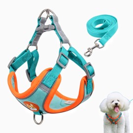 TUMYES Arnés para Perros, Arnés para Perro con Correa de 1.5m para Perros y Gatos Pequeños, Medianos, Ajustable, Anti Tirones, Diseño Reflectante de Seguridad, Cómodo y Transpirable (Azul, L)