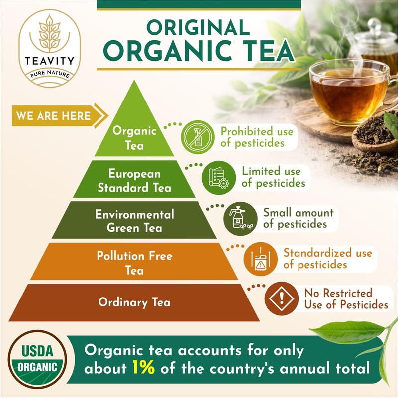 Organic Tea Pods with Ginger, Peppermint, Fennel, Licorice, & Rosehip