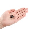 sourcing map 5 Pcs Black DIP Switch Horizontal 1-2 Positions