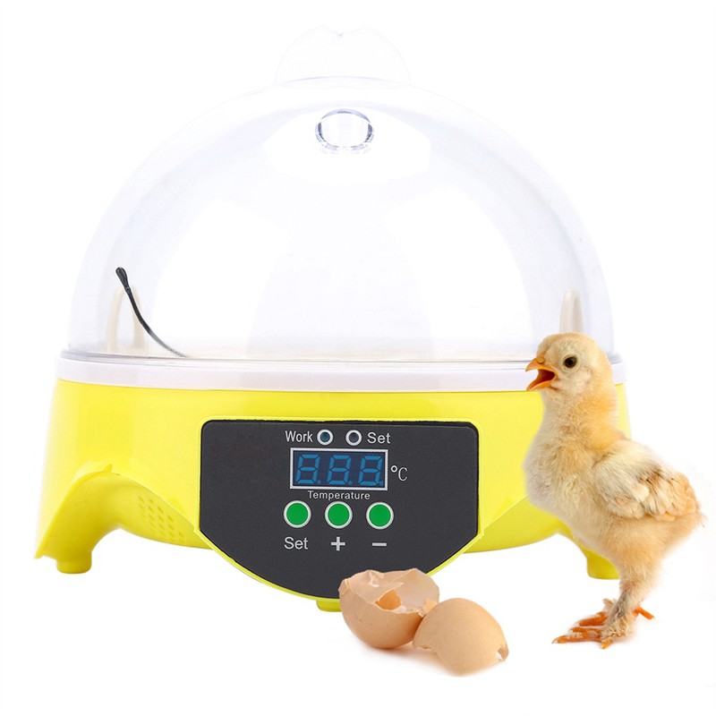 Mini Digital 7 Egg Capacity Chicken Duck Bird Hatch Incubator