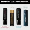 Sebastian Professional Penetraitt Mascarilla Reparación 150ml