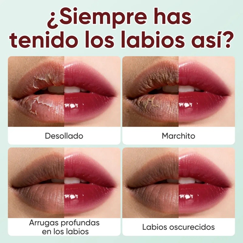 Baya Labial Liquido Efecto Espejo Labial Gloss Hidratante