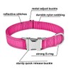 Love Dream Collar reflectante para perro con hebilla de metal,
