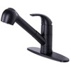 Matte Black Kitchen Faucet with Pull Out Sprayer, Small Single