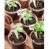 homenote Clear Nursery Pots for Plant,3/4/5 Inch Plant Pot for