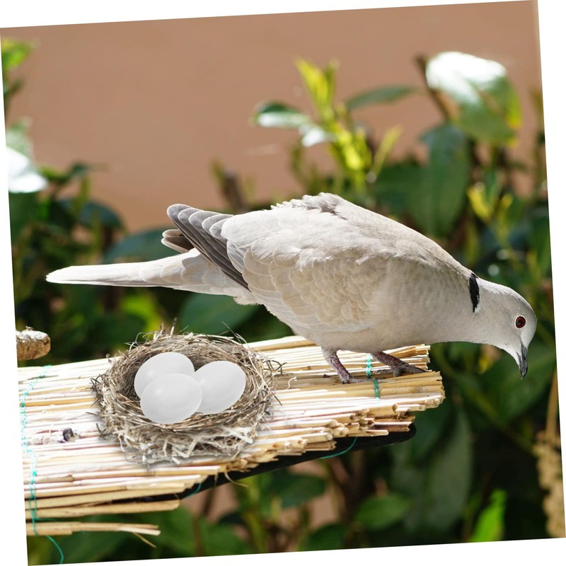 VICASKY 10pcs Large Realistic Fake Bird Eggs Simulation Solid Bird