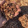 Duplex, Soil Aeration Mix, Duo of Ingredients for Indoor or