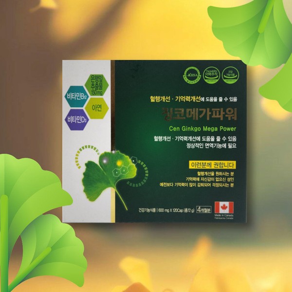 Ginkgo Leaf Extract Flavonol Ginkgo Mega Power 120-day supply / 은행잎추출물 플라보놀 징코메가파워 120일분