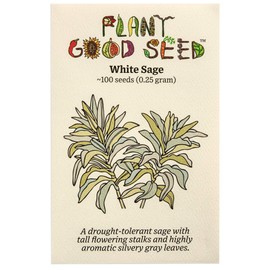 Plant Good Seed Organic White Sage Seeds for Planting: California Native Plant, Silvery Leaves - 100 Seed Packet
