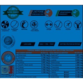 Protein Powder for Maintaining and Gaining Muscle Mass with BCAA + EAA I Premium Whey Protein Powder Whey 500 g Strawberry