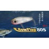 Bow Flap 80S Bow Flap 80mm (Sight Orange Glow)